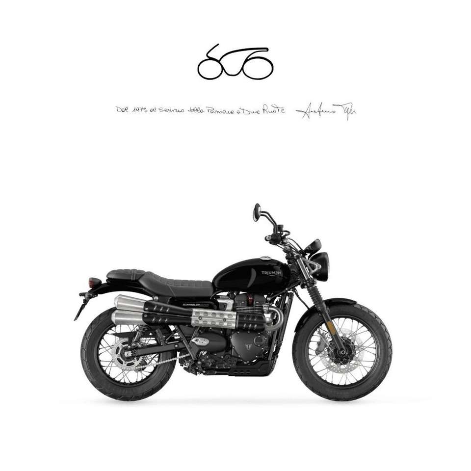 Triumph Scrambler Scrambler 900