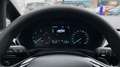 Ford Fiesta 1.5TDCi Trend+ 85 Blanco - thumbnail 15