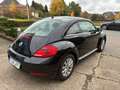 Volkswagen Beetle Beetle 1.2 TSI Design  21442 km !!! Noir - thumbnail 4