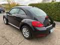 Volkswagen Beetle Beetle 1.2 TSI Design  21442 km !!! Noir - thumbnail 6