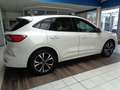 Ford Kuga ST-Line X Hybrid.LED.el.AHK.HUD.STHZG.PANO Weiß - thumbnail 4
