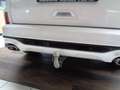 Ford Kuga ST-Line X Hybrid.LED.el.AHK.HUD.STHZG.PANO Weiß - thumbnail 15