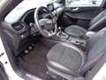 Ford Kuga ST-Line X Hybrid.LED.el.AHK.HUD.STHZG.PANO Weiß - thumbnail 9
