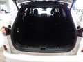 Ford Kuga ST-Line X Hybrid.LED.el.AHK.HUD.STHZG.PANO Weiß - thumbnail 14