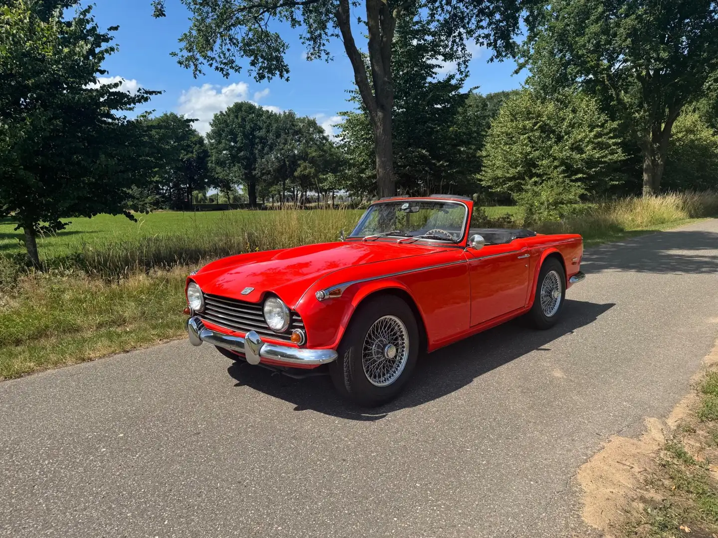 Triumph TR5 PI / 1968 Rot - 2