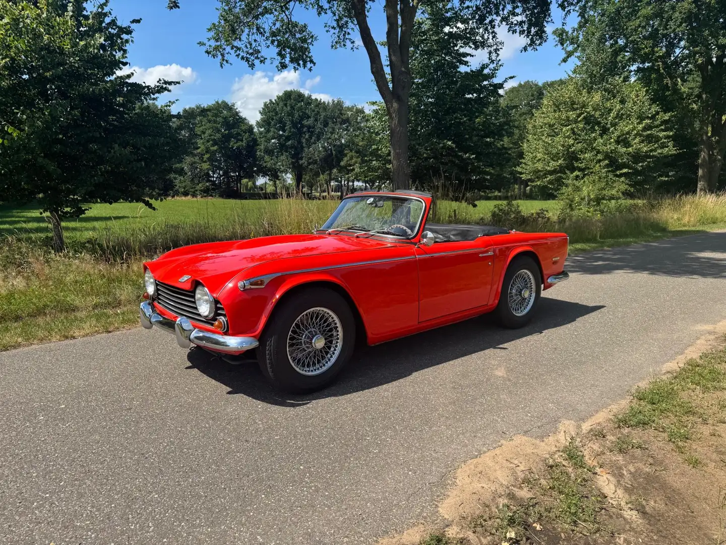Triumph TR5 PI / 1968 Rot - 1
