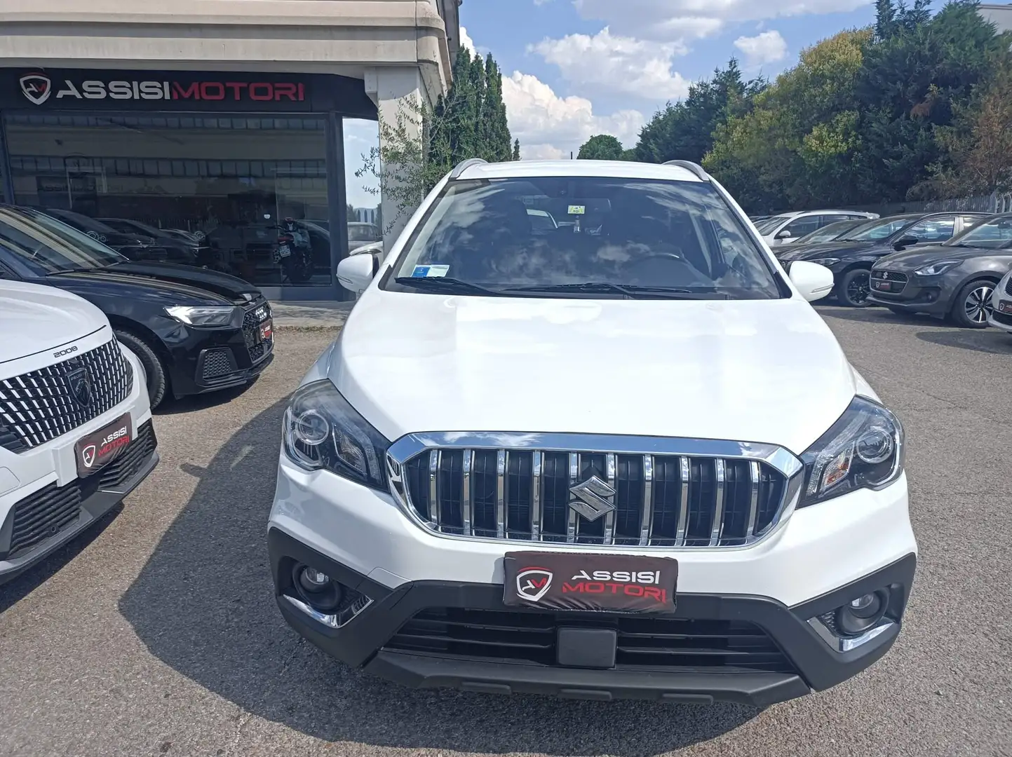 Suzuki SX4 S-Cross S-Cross I 2017 1.6 ddis Cool s Bianco - 2