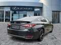 Lexus ES 300 h F Sport Schiebedach*HUD*Navi*ACC*360KAM Schwarz - thumbnail 7