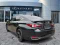Lexus ES 300 h F Sport Schiebedach*HUD*Navi*ACC*360KAM Schwarz - thumbnail 6