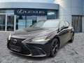 Lexus ES 300 h F Sport Schiebedach*HUD*Navi*ACC*360KAM Schwarz - thumbnail 2