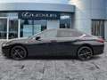 Lexus ES 300 h F Sport Schiebedach*HUD*Navi*ACC*360KAM Schwarz - thumbnail 4