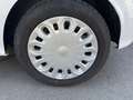 Ford Ka/Ka+ 1,2 *Ambiente* Weiß - thumbnail 13