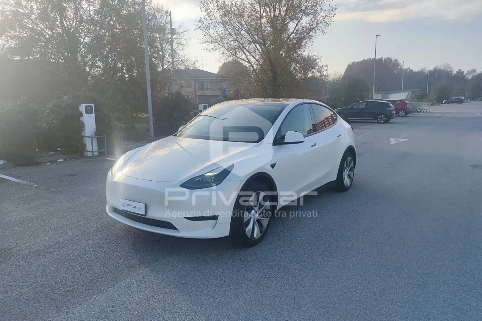 Tesla Model Y Model Y RWD Bianco - 1