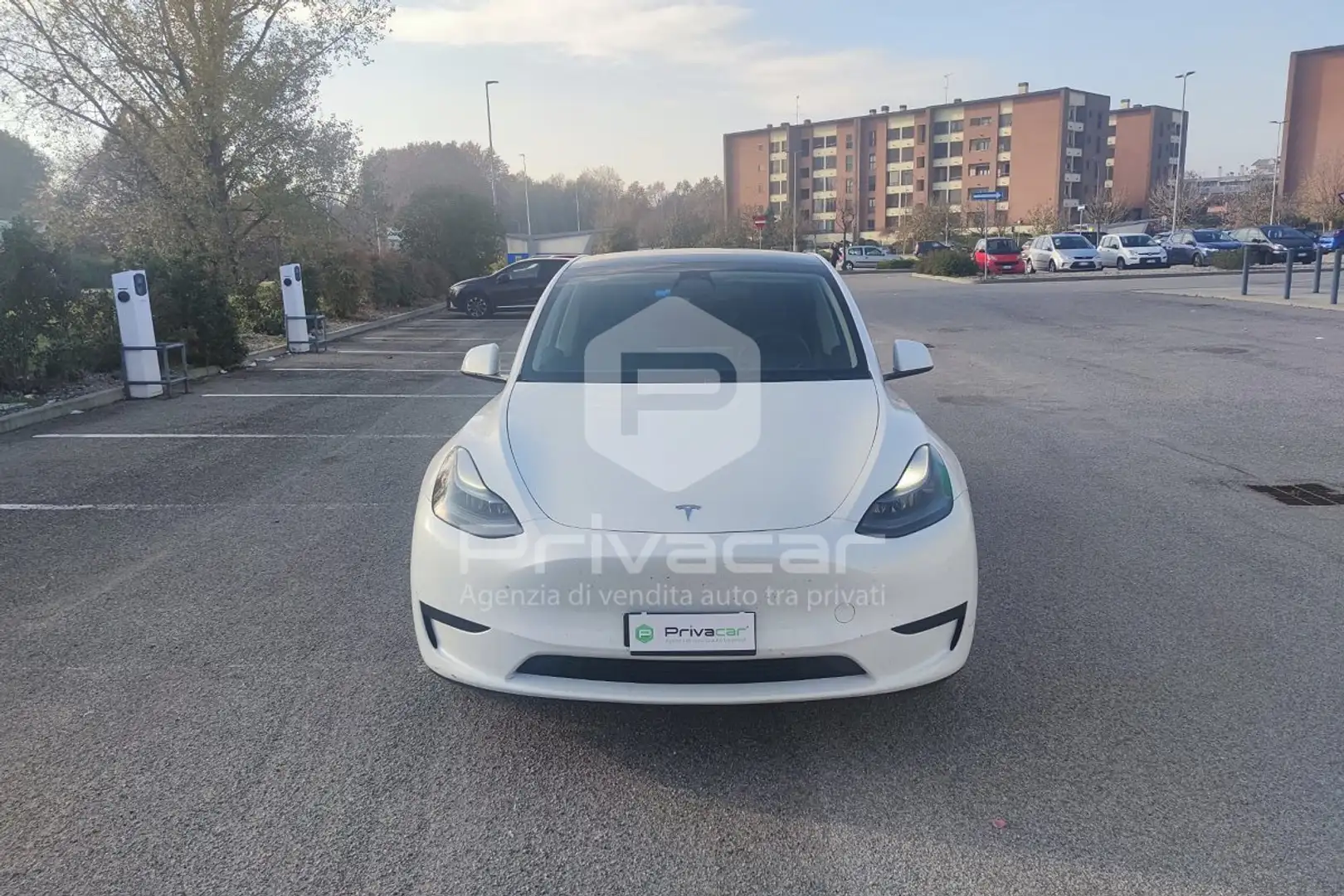 Tesla Model Y Model Y RWD Bianco - 2