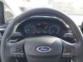 Ford Puma Titanium 1.0 EcoBoost Mild Hybrid EU6d Navi LED Sc Blau - thumbnail 10