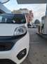 Fiat Qubo Qubo 1.3 mjt 16v Trekking 80cv my19 Bianco - thumbnail 14