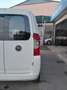Fiat Qubo Qubo 1.3 mjt 16v Trekking 80cv my19 Bianco - thumbnail 9