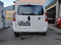 Fiat Qubo Qubo 1.3 mjt 16v Trekking 80cv my19 Bianco - thumbnail 7