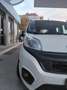 Fiat Qubo Qubo 1.3 mjt 16v Trekking 80cv my19 Bianco - thumbnail 13