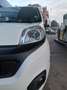 Fiat Qubo Qubo 1.3 mjt 16v Trekking 80cv my19 Bianco - thumbnail 15