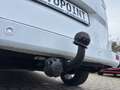 Ford Tourneo Courier Titanium Weiß - thumbnail 25