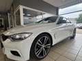 BMW 430 i Cabrio "M-Performance" Deutsches Fahrzeug Weiß - thumbnail 4