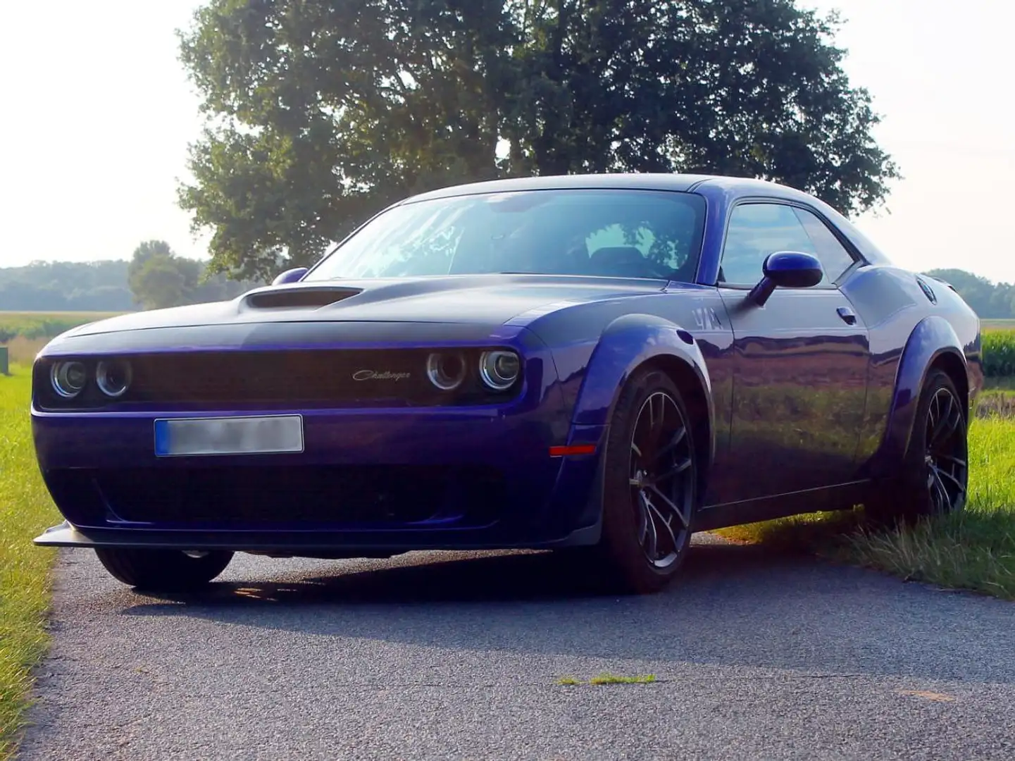 Dodge Challenger Challenger Automatik R/T Plus Scat Pack Violett - 2