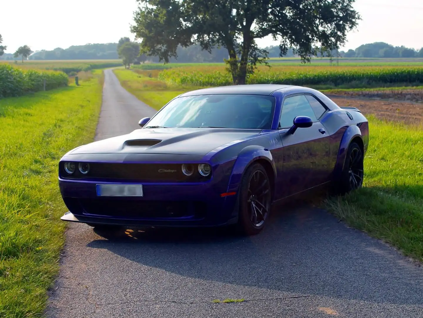 Dodge Challenger Challenger Automatik R/T Plus Scat Pack Violett - 1