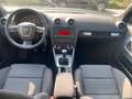 Audi A3 Cabrio 1.6 BENZINA Attraction 103CV Blanc - thumbnail 13