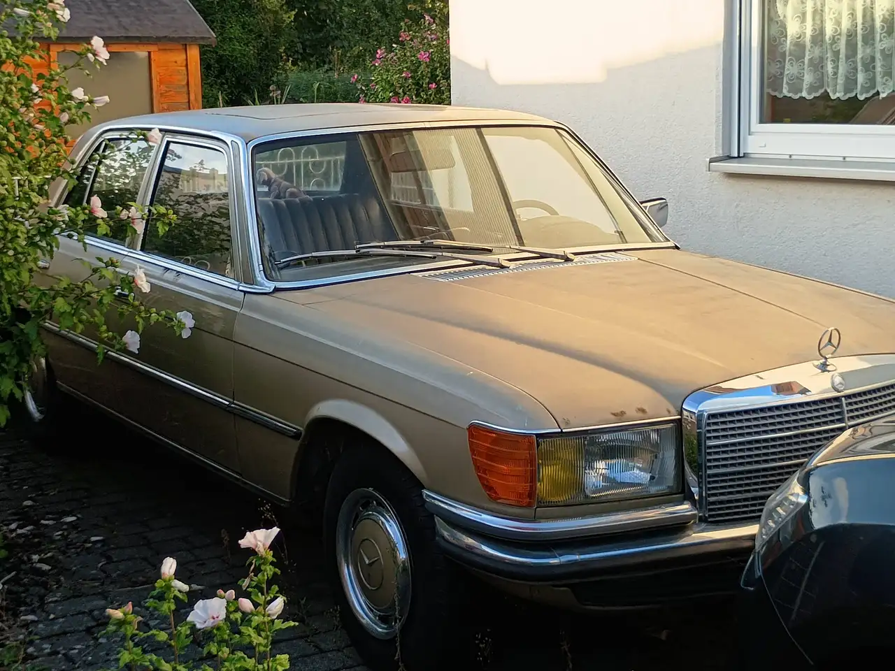 Mercedes-Benz 280 SE, foto 2