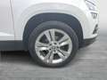 Skoda Karoq Style 125 TDI Weiß - thumbnail 6