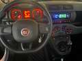 Fiat Panda 1.2 Pop NEOPATENTATO/TAGLIANDATA Grau - thumbnail 11
