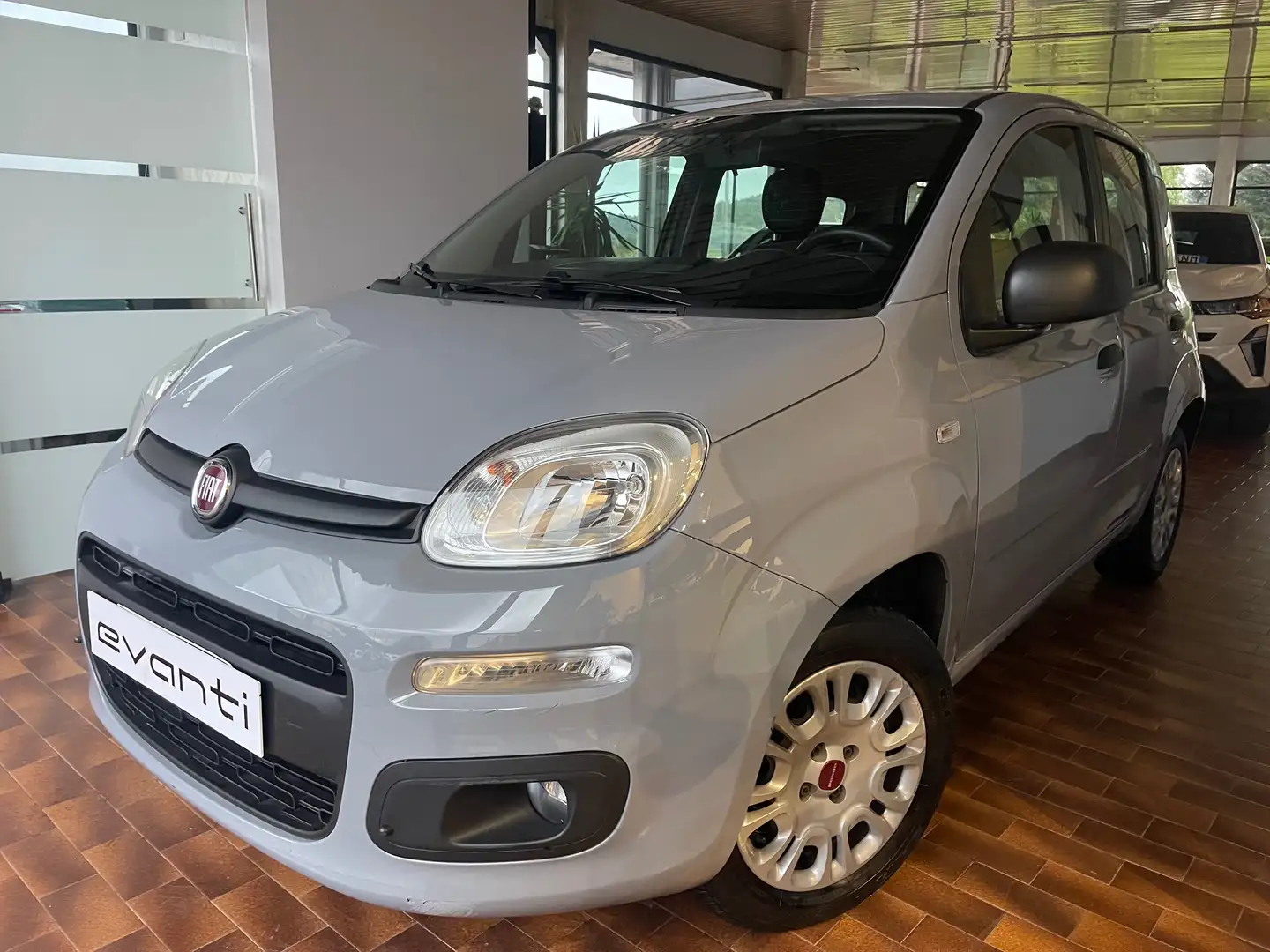 Fiat Panda 1.2 Pop NEOPATENTATO/TAGLIANDATA Grau - 1