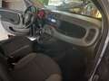 Fiat Panda 1.2 Pop NEOPATENTATO/TAGLIANDATA Grau - thumbnail 9