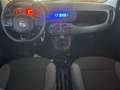 Fiat Panda 1.2 Pop NEOPATENTATO/TAGLIANDATA Grau - thumbnail 7