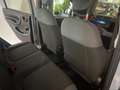 Fiat Panda 1.2 Pop NEOPATENTATO/TAGLIANDATA Grau - thumbnail 14