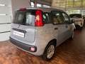 Fiat Panda 1.2 Pop NEOPATENTATO/TAGLIANDATA Grau - thumbnail 4