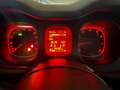Fiat Panda 1.2 Pop NEOPATENTATO/TAGLIANDATA Grau - thumbnail 13