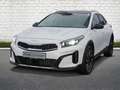 Kia XCeed 1.6T DCT7 PLATINUM GLASDACH Leder SOUND Weiß - thumbnail 1