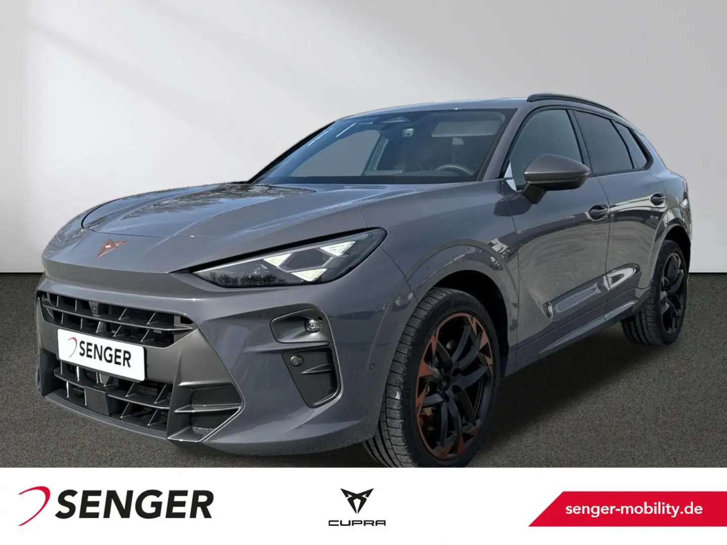 CUPRA Terramar 2.0 TSI Navi Matrix Sennheiser Memory Grau - 1