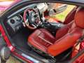 Ford Mustang GT 4.6L V8, handgeschakeld Rood - thumbnail 17