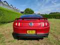 Ford Mustang GT 4.6L V8, handgeschakeld Rouge - thumbnail 13