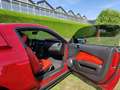 Ford Mustang GT 4.6L V8, handgeschakeld Rot - thumbnail 14