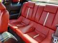 Ford Mustang GT 4.6L V8, handgeschakeld Rood - thumbnail 19