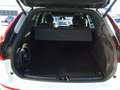 Volvo XC60 Plus, T8 AWD Plug-in Hybrid/Pano/FourC/BLS Weiß - thumbnail 13