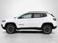 Jeep Compass 1.3 PHEV Trailhawk EAWD Aut. 240 Blanco - thumbnail 6