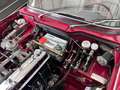 Triumph TR4 Cabriolet / Roadster aufwendig restauriert. Rouge - thumbnail 15