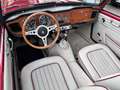 Triumph TR4 Cabriolet / Roadster aufwendig restauriert. Rouge - thumbnail 32