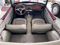 Triumph TR4 Cabriolet / Roadster aufwendig restauriert. Rouge - thumbnail 9