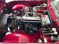 Triumph TR4 Cabriolet / Roadster aufwendig restauriert. Rouge - thumbnail 12